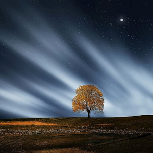 亚洲综合网一区二区加比乐按摩
