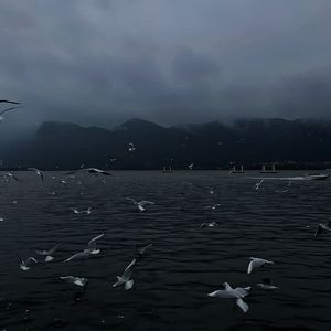 亚洲综合网一区二区加比乐按摩
